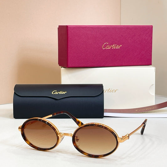 Multi-color Sunglasses