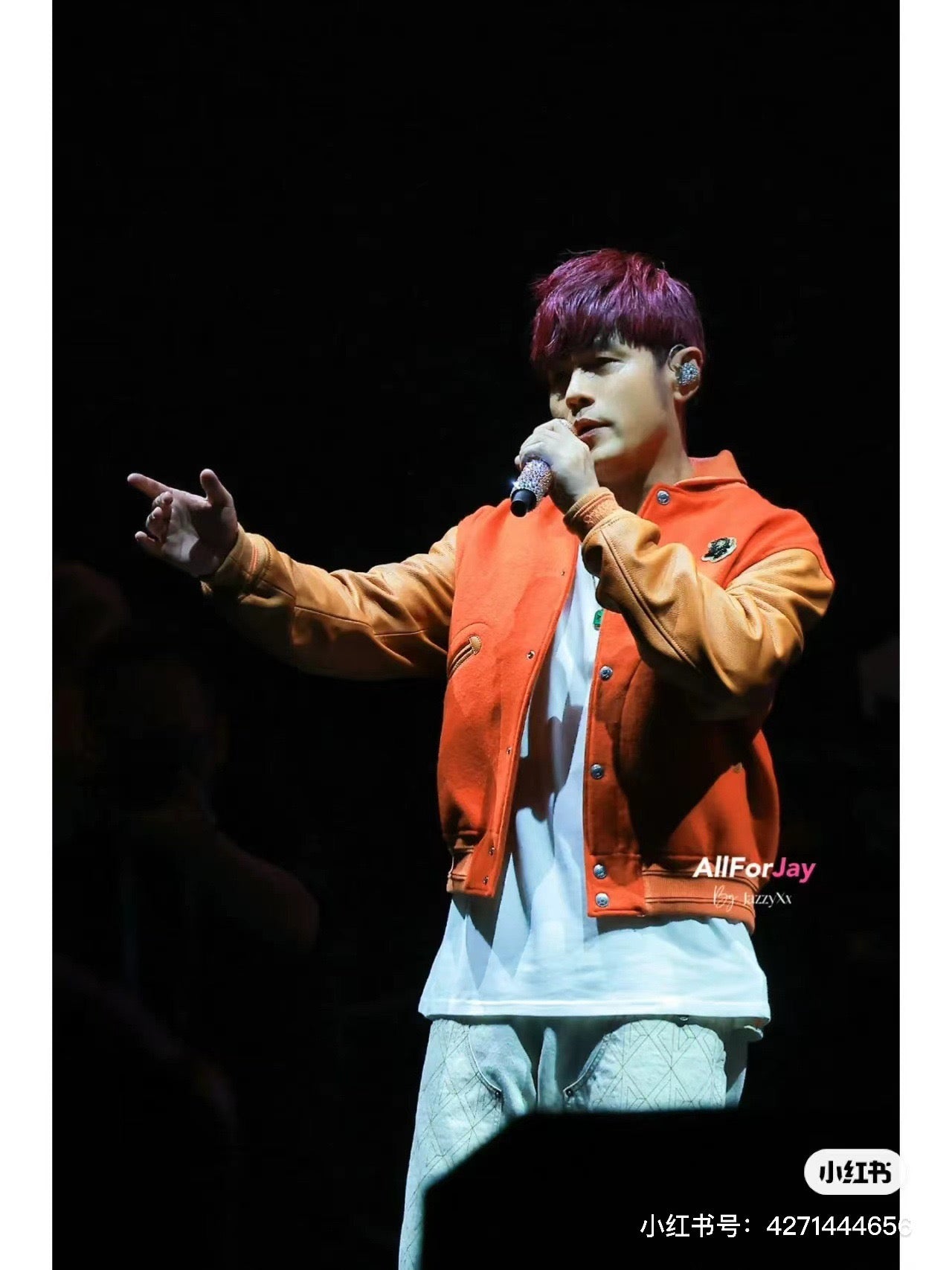 Multi-color Jacket