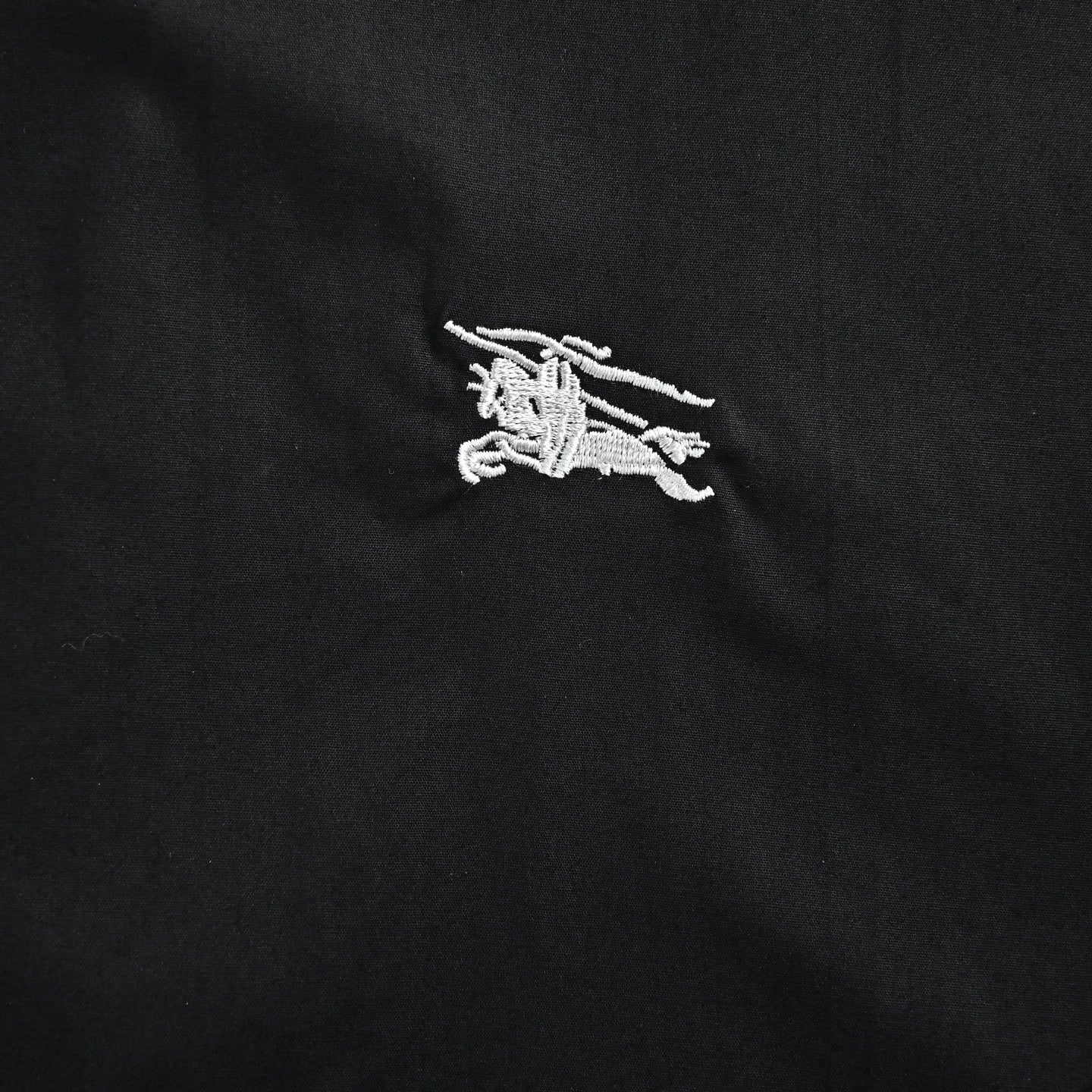 Black Shirt