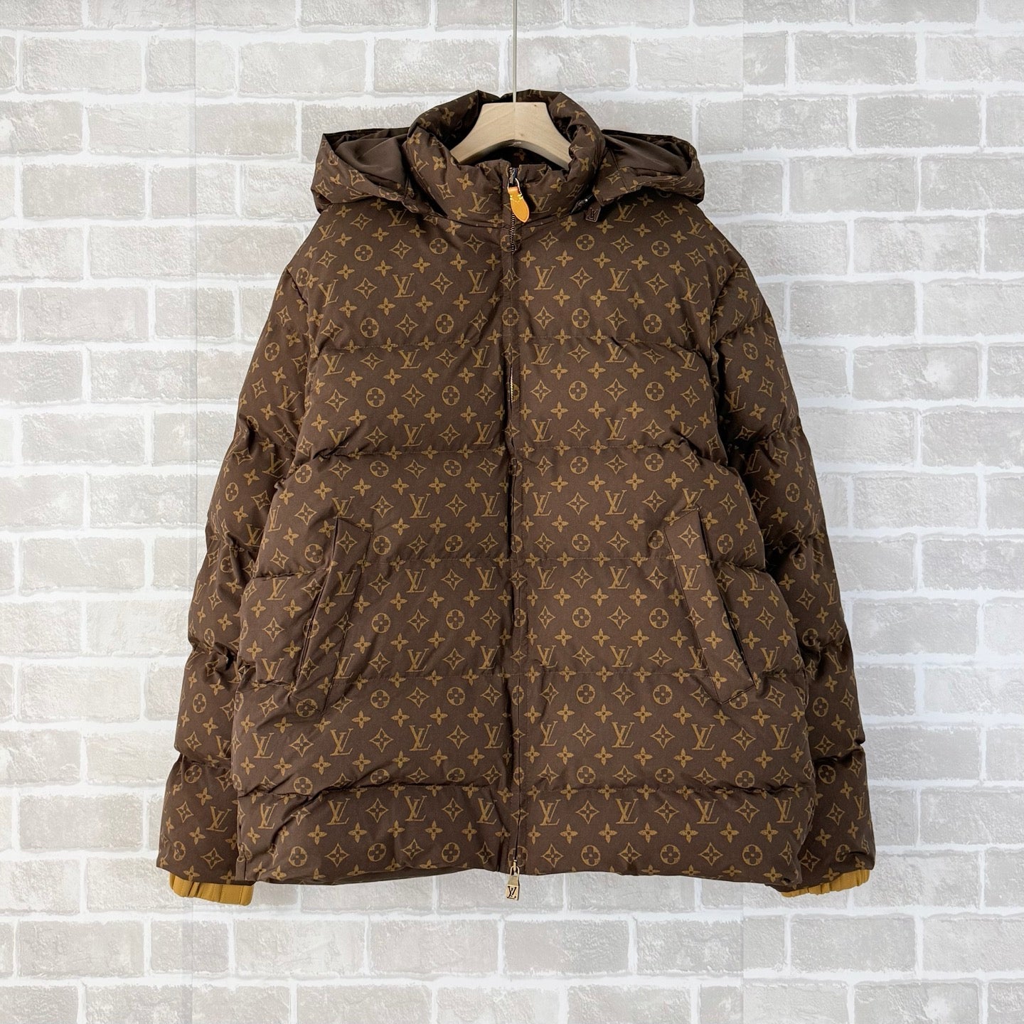 Brown Jacket